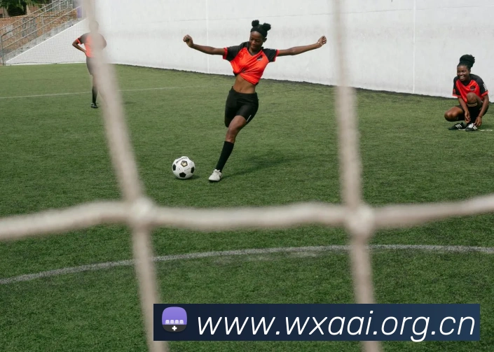 米兰app网页版登录入口APP 封面图